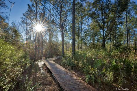 Alachua Conservation Trust — ACT Parks & Preserves