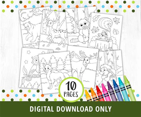 Woodland Forest Animals Coloring Pages, Woodland Animals Coloring Pages ...