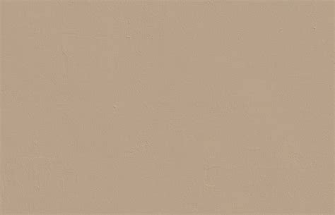 Beige 02 Light Brown Beige Paint Matt Interior Paint Solid Color