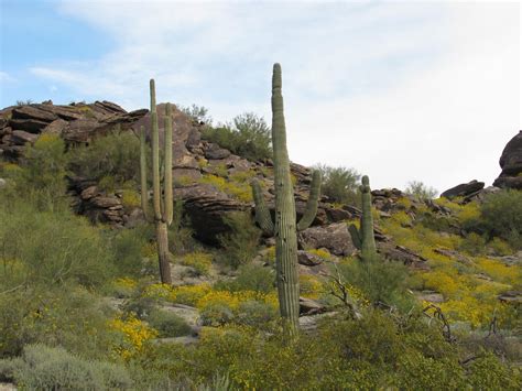 Weekend Wanderluster Hidden Valley Via Mormon Trail Maricopa County