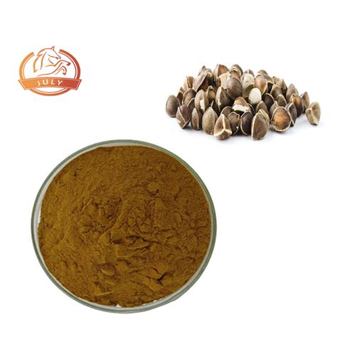 Moringa Oleifera Seed Extract 10 1 20 1 Moringa Seed Powder China