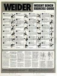 Weider Pro Exercise Chart Workout Chart Gym Workouts Machines