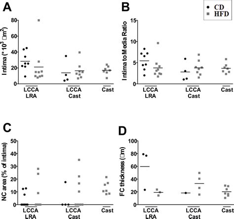 Structural Features Of The Atherosclerotic Lesions Quantification Of