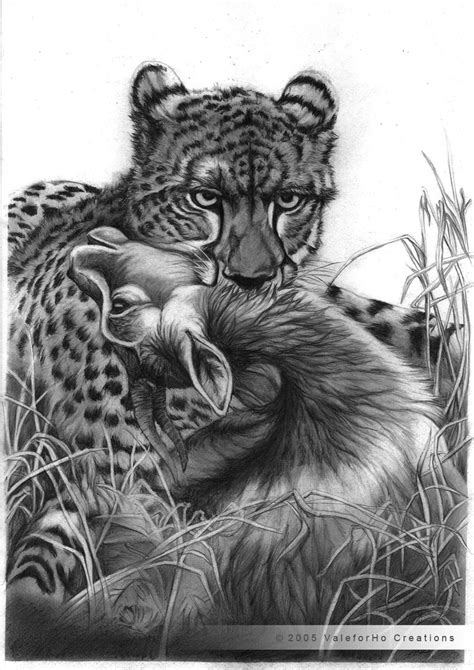 Predator And Prey By Valeforho On Deviantart