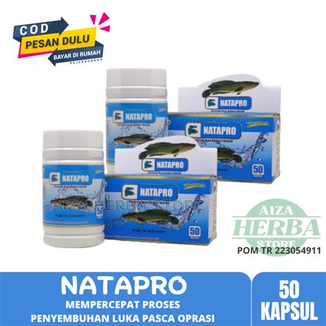 Paket Pcs Ash Shihah Pro Albumin Ekstrak Ikan Gabus Kapsul Pro