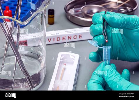 Police Scientist Holds Piece Of Swab In Vial To Analyse Dna Traces From