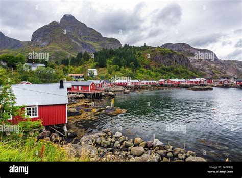 Traditional Red Wooden Houses Rorbuer In The Small Fishing Village Of