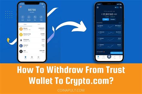 How To Withdraw From Trust Wallet To Crypto Coinapult