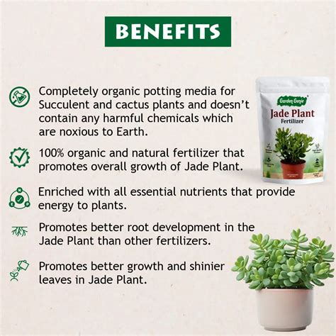 Organic Potting Soil Mix Garden Genie