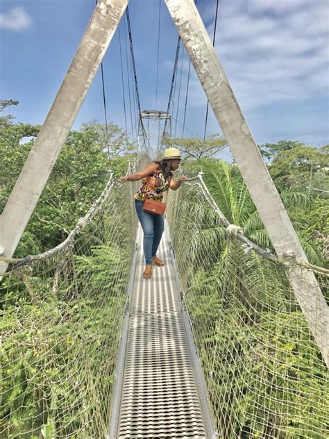 Lekki Conservation Centre: Experience the Longest Canopy Walkway in Africa - The Wakaholic