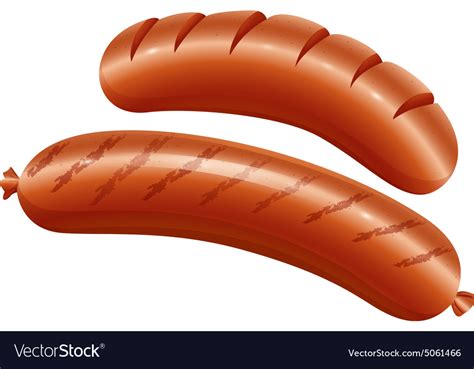 Sausages Royalty Free Vector Image VectorStock