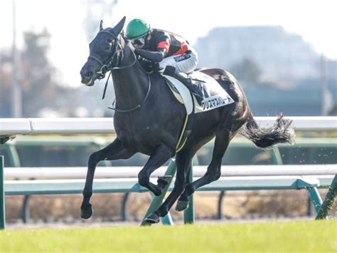 【中山5r新馬戦結果】キタサンブラック産駒クリスマスパレードが押し切りv 2023年12月3日掲載 ライブドアニュース