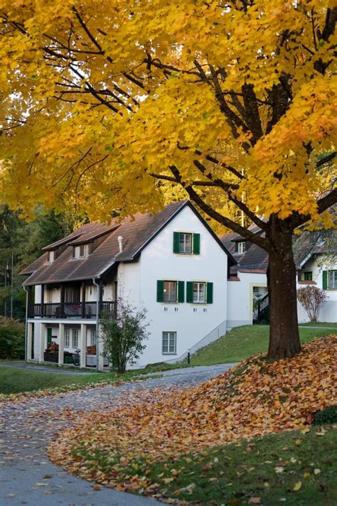 Ein Wochenende Rund Um Den Karpfen Im Waldviertel Freets