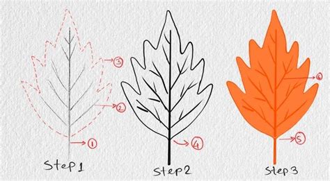 10 Leaf Drawing Step By Step Tutorials Smiling Colors, 51% OFF