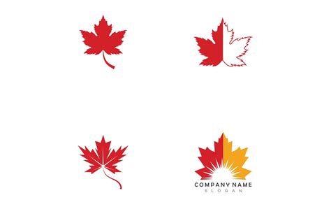 Maple Leaf Vector Logo Graphic by Nur design · Creative Fabrica