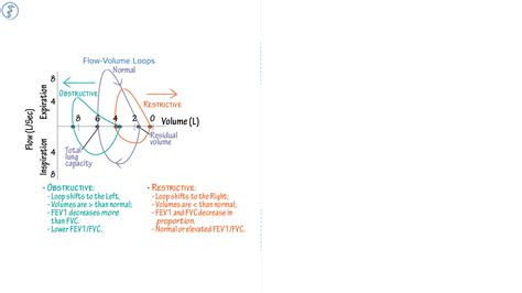 Physiology Lung Flow Volume Loops Ditki Medical And Biological Sciences