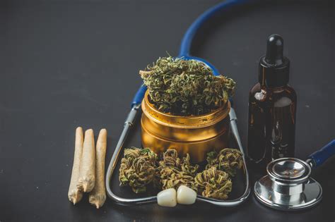 Tr S Em Cada Quatro Brasileiros Aprovam O Uso Medicinal Da Cannabis