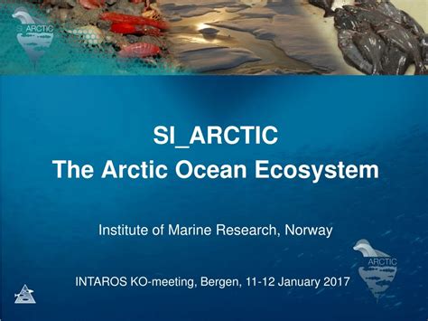 PPT - SI_ARCTIC The Arctic Ocean Ecosystem Institute of Marine Research, Norway PowerPoint ...