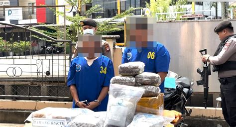 Pesan Ganja 3 5 Kg Dari Aceh BNN Kalbar Tangkap Dua Residivis