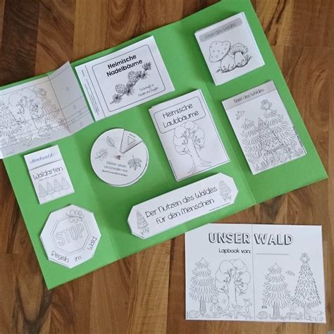 Lapbook Vorlagen Wald