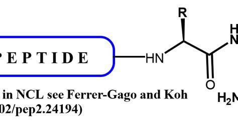 C-Terminal Peptide Modifications – DeliverTides