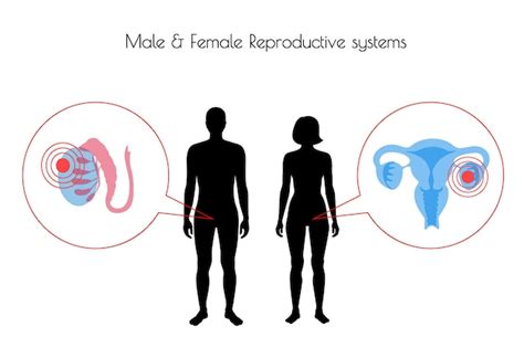 Dolor En El Cuerpo Humano Vector Premium