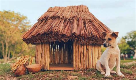 Maya Houses