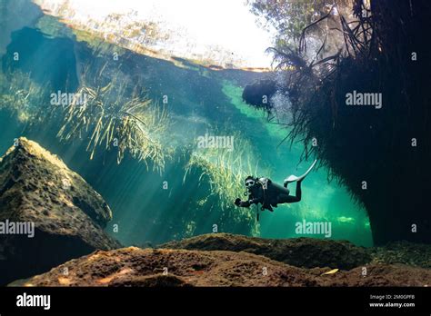 Cave Diver Instructor Leading A Group Of Divers In A Mexican Cenote