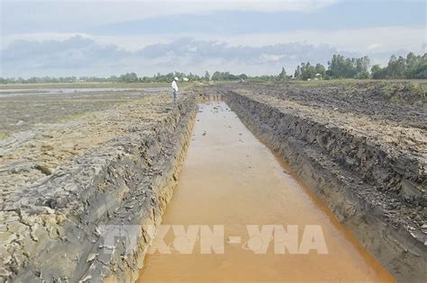 Phân bổ hơn 7 1 triệu m3 cát cho 2 dự án cao tốc tại Đồng bằng sông Cửu