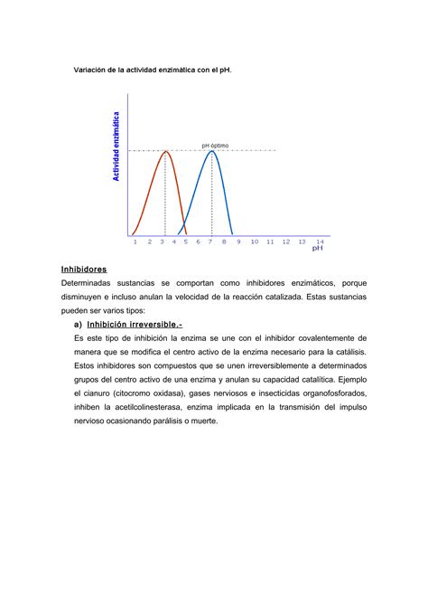 Factores Que Regulan La Actividad Enzim Tica Pdf