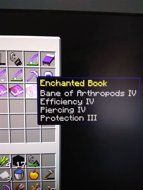 What can I use enchanting book like this to? : r/Minecraft