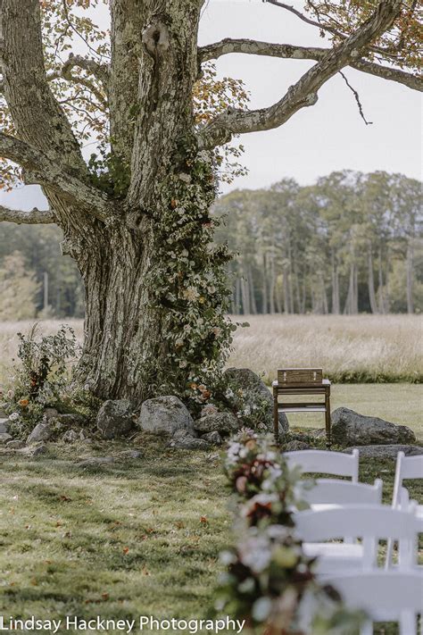 Outdoor Wedding Ceremony Under A Tree