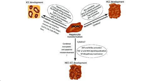 Oncogenic Driver Genes And Tumor Microenvironment Determine The Type Of