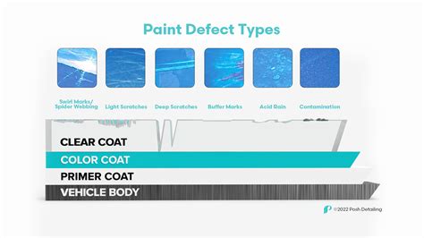 Paint Correction Detailer Near Me Posh Auto Detailing