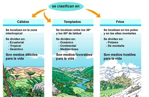 Tipos De Clima Cuadros Comparativos Y Sinópticos Cuadro Comparativo