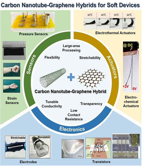 Applications of carbon nanotube (CNT)-graphene hybrids for soft ...