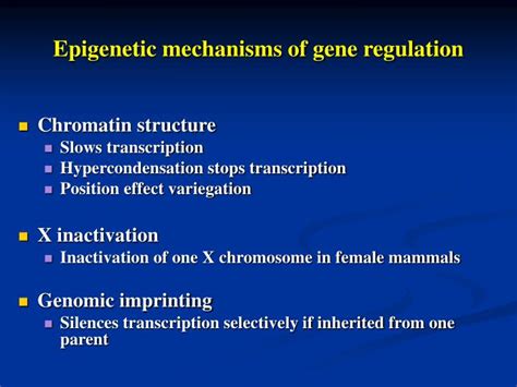 PPT - Epigenetic mechanisms of gene regulation PowerPoint Presentation - ID:4625888