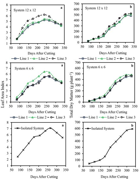 Leaf Area Index A And Total Dry Matter B Of Sugarcane In