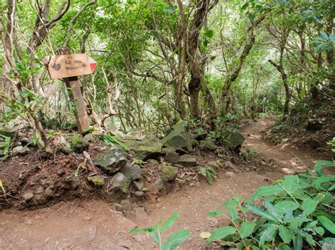 15 Beautiful Azores Waterfalls in Sao Miguel (and Beyond!)