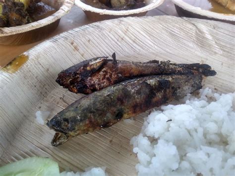 A taste of Authentic Bodo Cuisine at Manas National Park, Assam! – Orange Wayfarer