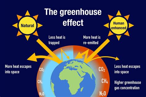 Effetto Serra Cos Cause Conseguenze E Possibili Soluzioni Ecoo It