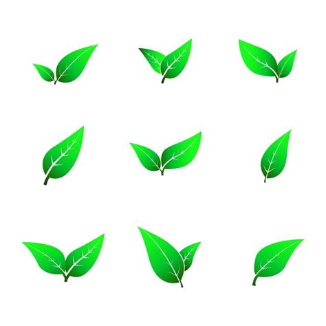 Premium Vector Green Leaf Icon Set Design Illustration On White