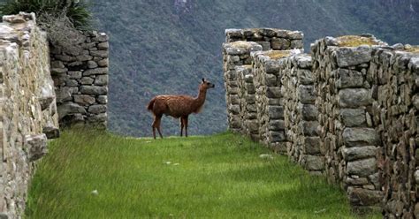 Cusco Salkantay Trektocht Dagen Nachten Naar Machu Picchu