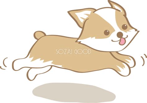 かわいいコーギー走る犬の無料イラスト80016 素材good