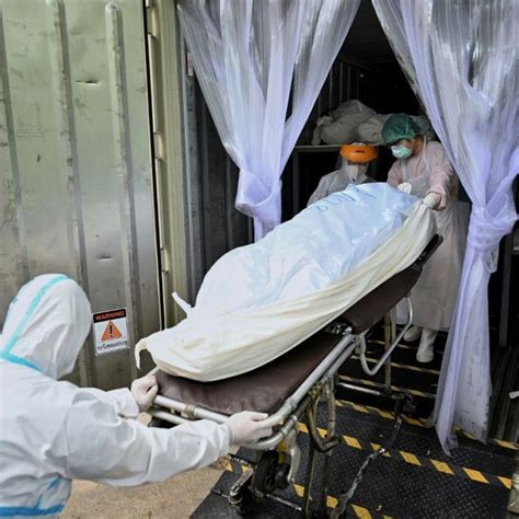 Morgue Bodies