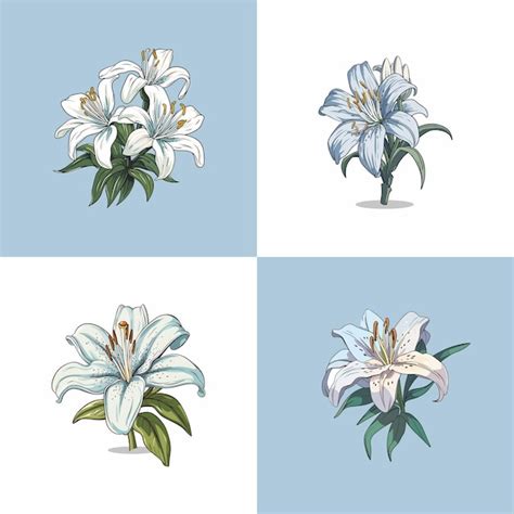 Premium Vector Lily Vector Clip Art Illustration