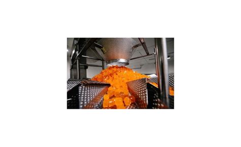 TopGum to triple capacity with new production plant | Food Engineering
