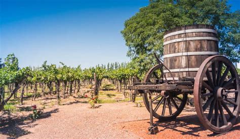 As Melhores Vin Colas De Mendoza Civitatis