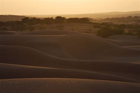 Photo of the Day - Sand Dunes of Jaisalmer - Darter Photography