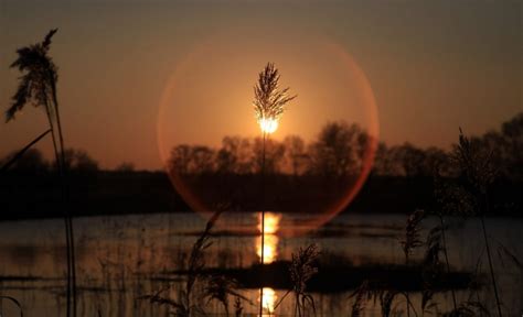 Women Do Pay For Sex And This Is Why The I Paper